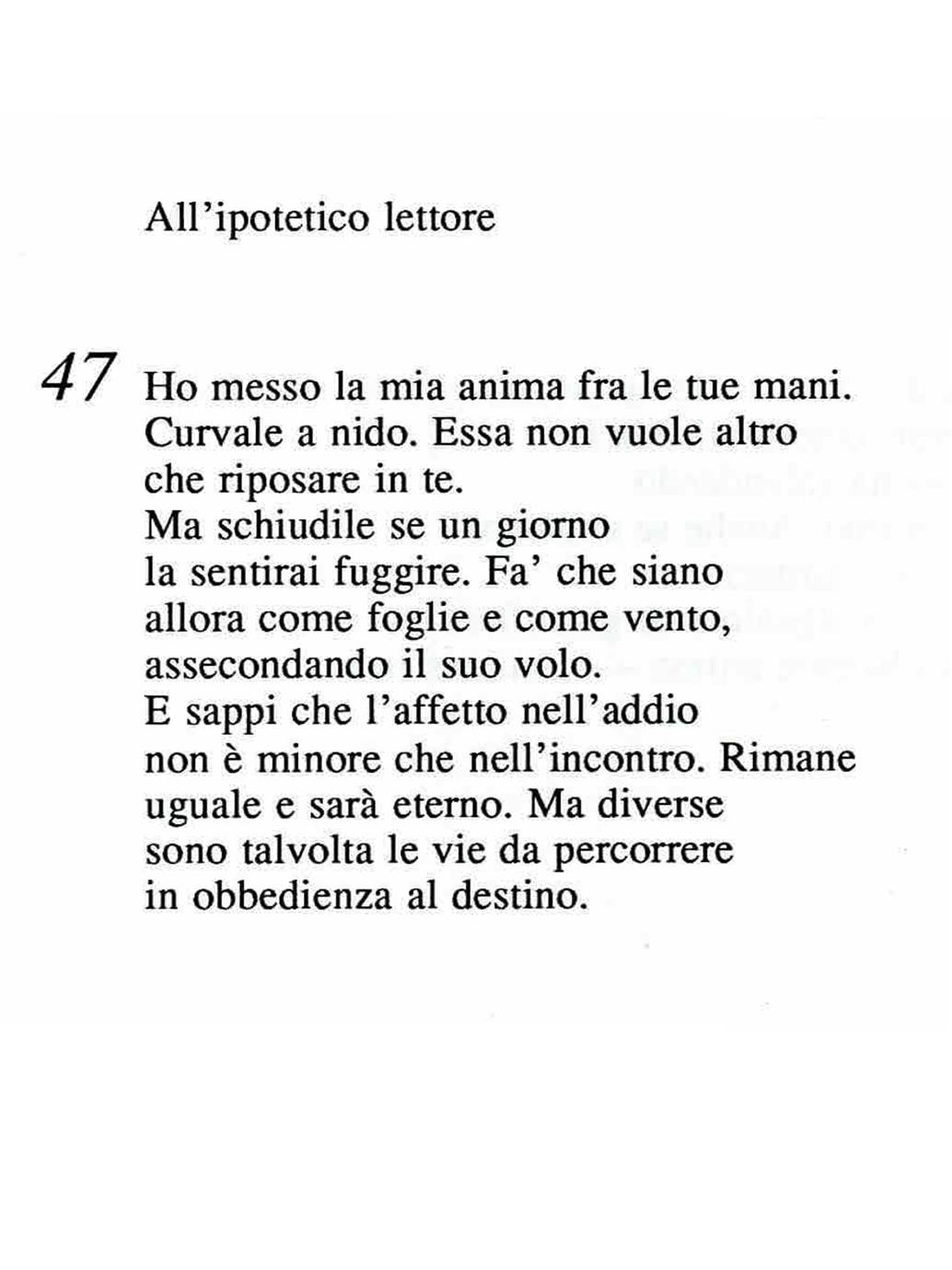 Poesia Anelli Del Tempo Allipotetico Lettore1
